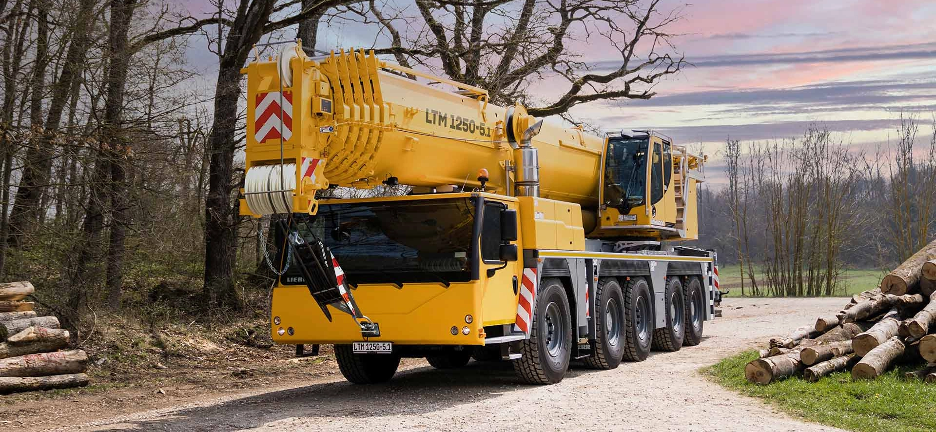250 t liebherr LTM 1250