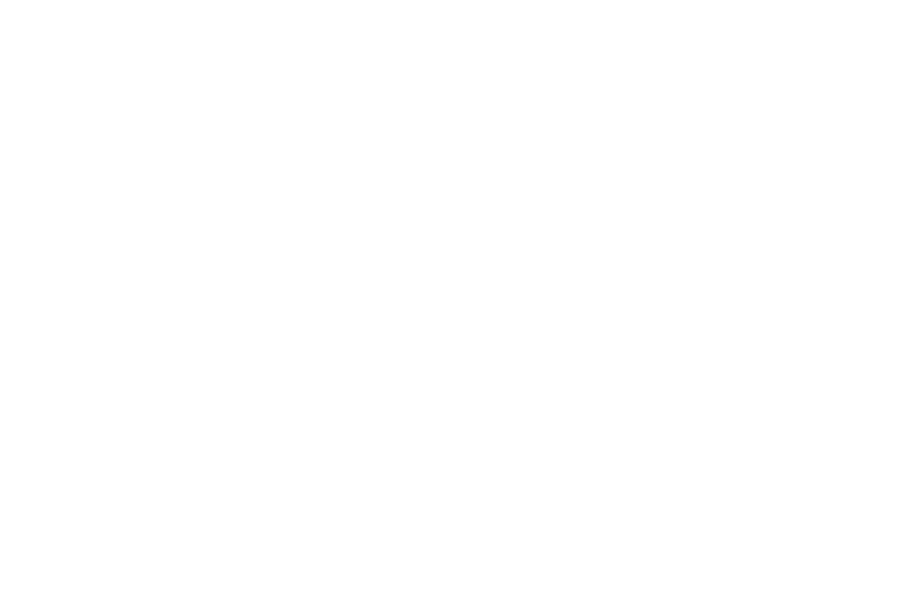 acss.brixies.co